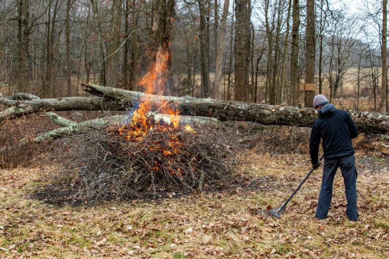 Guy wearing hat is burning brush in a field next to the woods in the winter.
